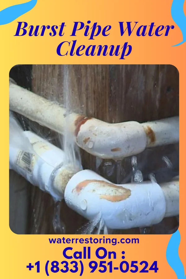 Burst Pipe Water Cleanup in Oakville, MO